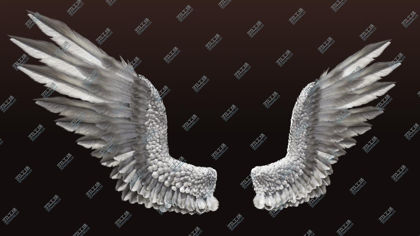 images/goods_img/20210113/3D Pair of Bird Wing [C4D] model/3.jpg